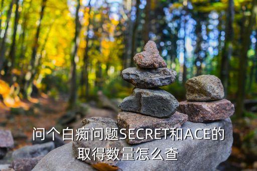 问个白痴问题SECRET和ACE的取得数量怎么查