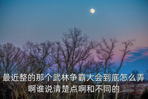 最近整的那个武林争霸大会到底怎么弄啊谁说清楚点啊和不同的