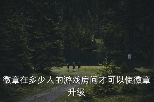 黑月手游勋章怎么升级，游戏人生的荣誉怎么提升