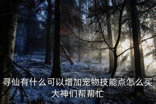 寻仙有什么可以增加宠物技能点怎么买大神们帮帮忙