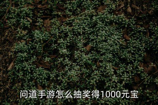 问道手游怎么抽奖得1000元宝