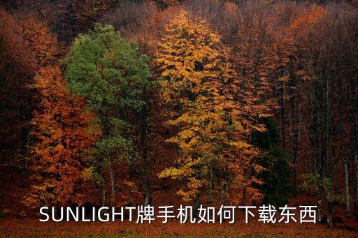 SUNLIGHT牌手机如何下载东西