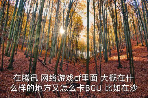 在腾讯 网络游戏cf里面 大概在什么样的地方又怎么卡BGU 比如在沙