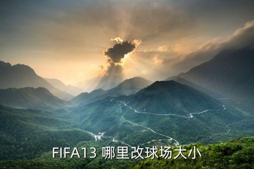 FIFA13 哪里改球场大小