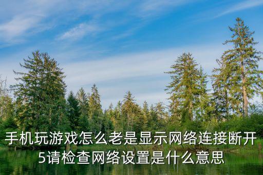 手机玩游戏怎么老是显示网络连接断开5请检查网络设置是什么意思