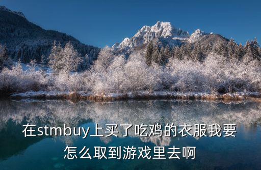 在stmbuy上买了吃鸡的衣服我要怎么取到游戏里去啊