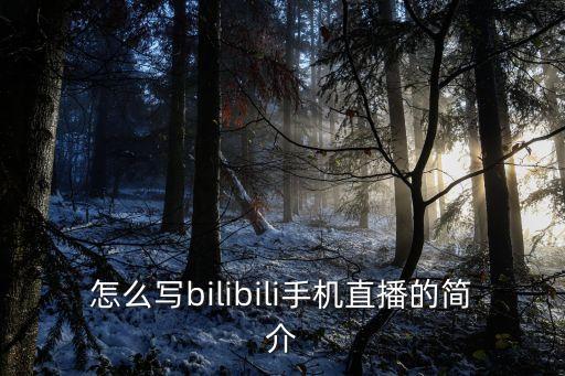 怎么写bilibili手机直播的简介