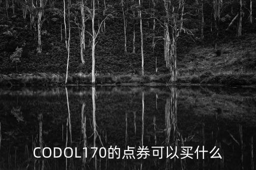 CODOL170的点券可以买什么