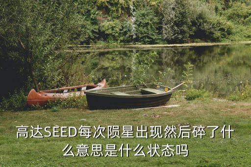 高达SEED每次陨星出现然后碎了什么意思是什么状态吗