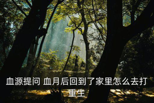 血源提问 血月后回到了家里怎么去打重生