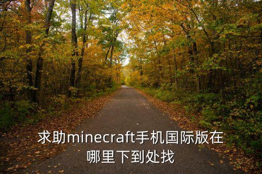 求助minecraft手机国际版在哪里下到处找