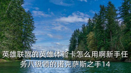 英雄联盟的英雄体验卡怎么用啊新手任务八级领的诺克萨斯之手14