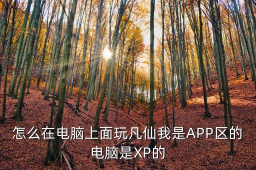 怎么在电脑上面玩凡仙我是APP区的电脑是XP的