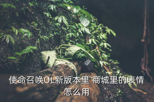 使命召唤OL新版本里 商城里的表情怎么用