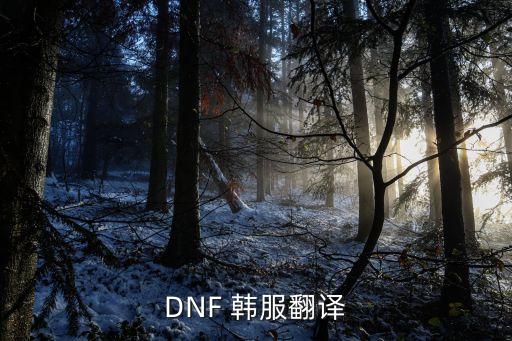 DNF 韩服翻译