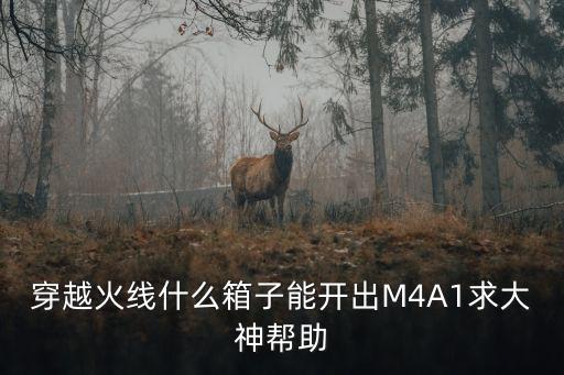 穿越火线什么箱子能开出M4A1求大神帮助