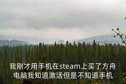 我刚才用手机在steam上买了方舟电脑我知道激活但是不知道手机