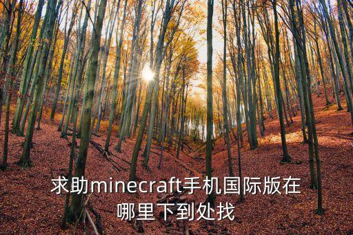 求助minecraft手机国际版在哪里下到处找