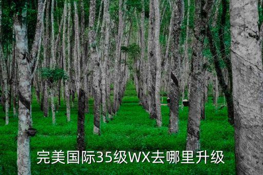 完美国际35级WX去哪里升级