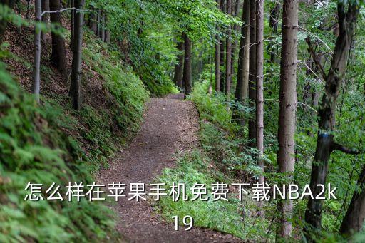 怎么样在苹果手机免费下载NBA2k19