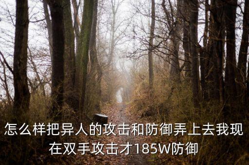 怎么样把异人的攻击和防御弄上去我现在双手攻击才185W防御