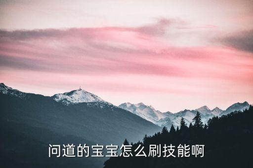 问道的宝宝怎么刷技能啊