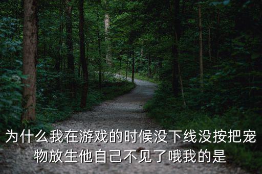 为什么我在游戏的时候没下线没按把宠物放生他自己不见了哦我的是