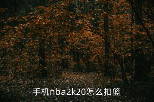 nba2k20手游怎么扣翻对手，nba2k10如何有人防守也能暴扣我见有人离那么远就能扣篮键盘