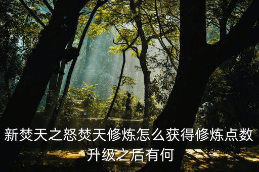 新焚天之怒焚天修炼怎么获得修炼点数 升级之后有何