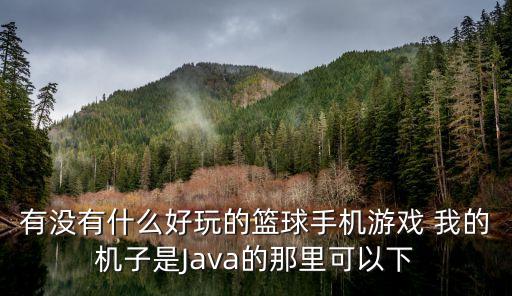 有没有什么好玩的篮球手机游戏 我的机子是Java的那里可以下