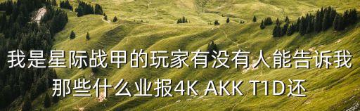 我是星际战甲的玩家有没有人能告诉我那些什么业报4K AKK T1D还