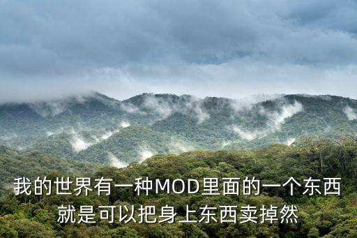 我的世界有一种MOD里面的一个东西就是可以把身上东西卖掉然