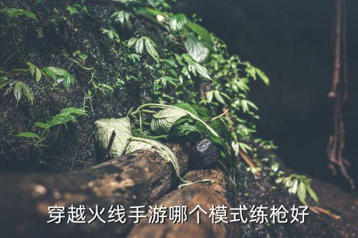 穿越火线手游哪个模式练枪好