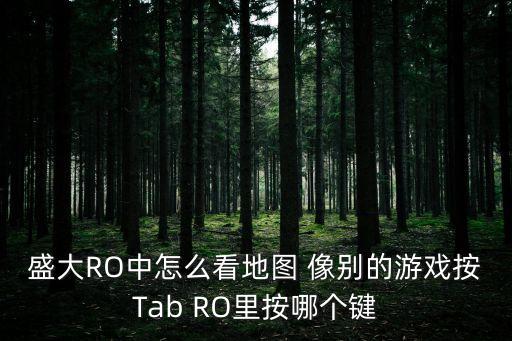 盛大RO中怎么看地图 像别的游戏按Tab RO里按哪个键