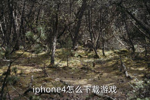 iphone4怎么下载游戏