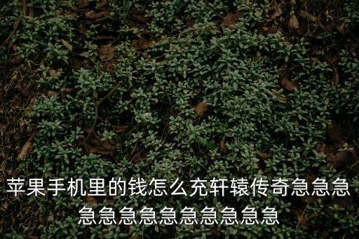 苹果手机里的钱怎么充轩辕传奇急急急急急急急急急急急急急