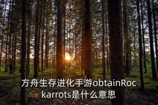 方舟生存进化手游obtainRockarrots是什么意思