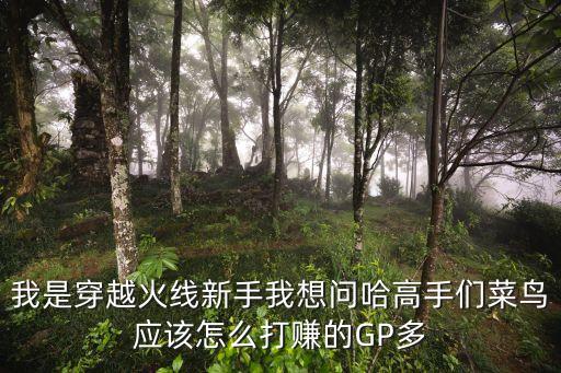 我是穿越火线新手我想问哈高手们菜鸟应该怎么打赚的GP多