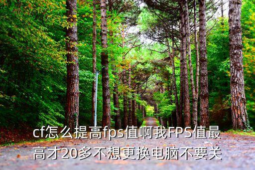 cf怎么提高fps值啊我FPS值最高才20多不想更换电脑不要关