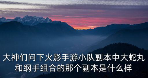 大神们问下火影手游小队副本中大蛇丸和纲手组合的那个副本是什么样