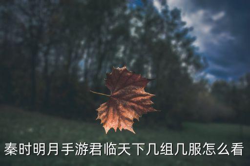 秦时明月手游君临天下几组几服怎么看