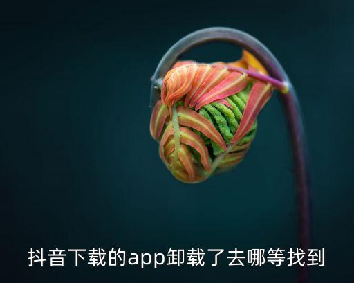 抖音下载的app卸载了去哪等找到