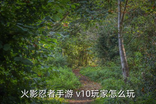 火影忍者手游 v10玩家怎么玩