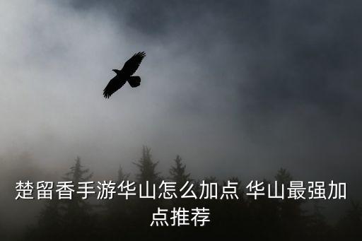 楚留香手游华山怎么加点 华山最强加点推荐