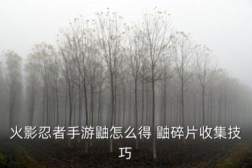 火影忍者手游鼬怎么得 鼬碎片收集技巧