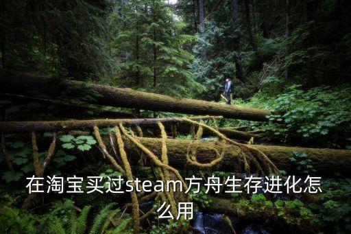 在淘宝买过steam方舟生存进化怎么用