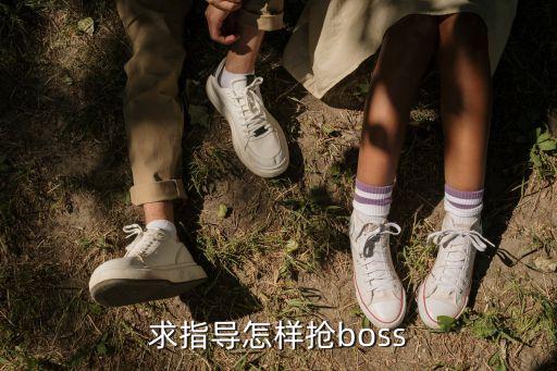 求指导怎样抢boss