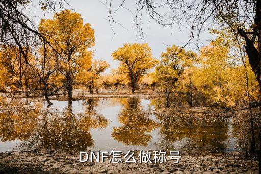 DNF怎么做称号