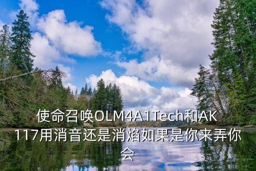 使命召唤OLM4A1Tech和AK117用消音还是消焰如果是你来弄你会