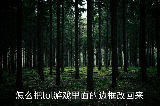 怎么把lol游戏里面的边框改回来